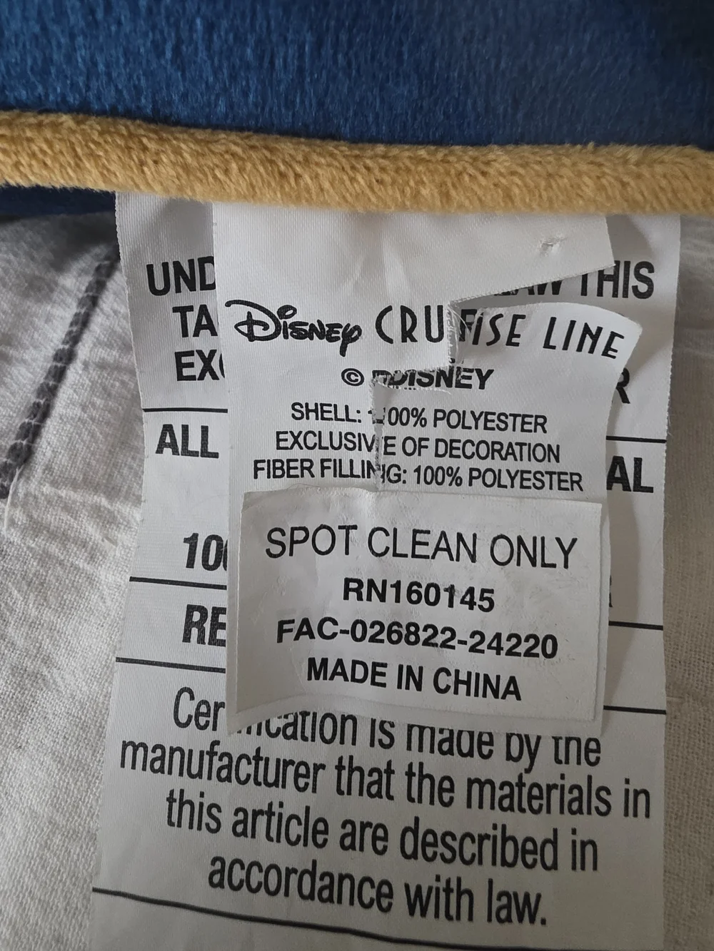 Disney Treasure Pillow